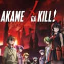 Akame ga Kill! on Random Best Anime On Crunchyroll