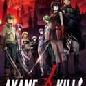 Akame ga Kill! on Random  Best Anime Streaming On Hulu