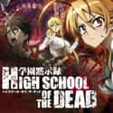 Highschool of the Dead on Random  Best Anime Streaming On Hulu