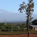 Kilimanjaro on Random Most Beautiful Natural Wonders In World