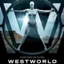 Westworld is listed (or ranked) 2 on the list New TV Shows of the Last Few Years with the Best Overall Acting