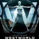 Westworld on Random Best Current Shows for Nerds