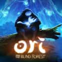 Ori and the Blind Forest on Random Most Compelling Video Game Storylines