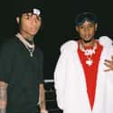 Rae Sremmurd is an American hip hop duo, composed of two brothers Swae Lee and Slim Jimmy from Atlanta, Georgia.