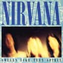 Smells Like Teen Spirit on Random Best Nirvana Songs