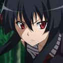Akame on Random Best Anime Characters With Black Hai