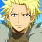 Sting Eucliffe is listed (or ranked) 16 on the list The Best Anime Characters With Blond Hair