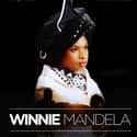 Winnie Mandela on Random Great Historical Black Movies Based On True Stories