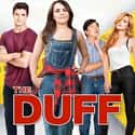 The DUFF on Random Greatest Shows & Movies About High School