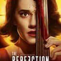 The Perfection on Random Best Netflix Original Horror Movies