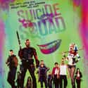 Suicide Squad on Random TV Program And Movies For 'Harley Quinn' Fans