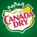 Canada Dry on Random Best Sodas