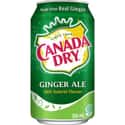 Canada Dry on Random Best Canadian Brands