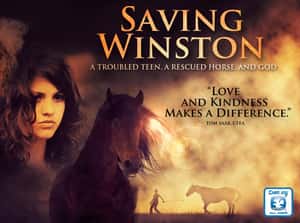Saving Winston