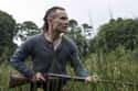 The Survivalist on Random Underrated Sci-Fi Movies Set In A Lawless Post-Apocalyptic Frontier