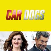 Car Dogs