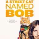 A Street Cat Named Bob on Random Best Cat Movies