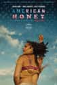 American Honey on Random Very Best Teen Noir Movies