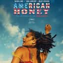 American Honey on Random Best Movies About Generation Z (So Far)