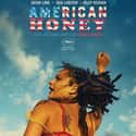 American Honey on Random Best Movies About Generation Z (So Far)