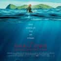 The Shallows on Random Best Movies That Have Only One Actor (Most of Time)