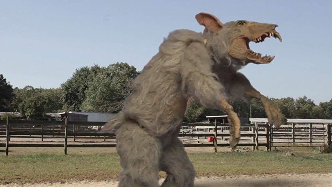 The Scariest Bunnies From Movies, Ranked By Hopping Horror