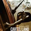Cartel Land on Random Best Documentaries on Hulu
