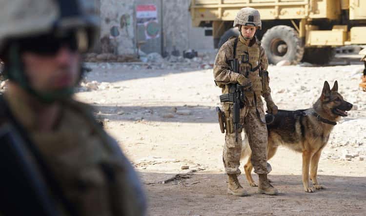 'Megan Leavey' Is About The Relationship Between A Soldier And Her Combat Dog
