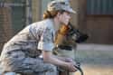 Megan Leavey on Random Most Memorable Portrayals Of Veterans In Film