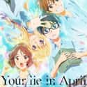 Your Lie in April on Random Best Anime Streaming on Netflix