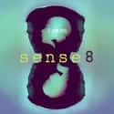 Sense8 on Random TV Shows Canceled Before Their Time