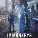 12 Monkeys on Random Best Syfy Original Shows