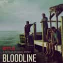 Bloodline on Random Best TV Dramas On Netflix
