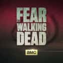 Fear the Walking Dead on Random Best Current Adventure TV Series