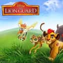 The Lion Guard on Random Best Cat Cartoons