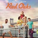 Red Oaks on Randm Greatest TV Shows Set in the '80s