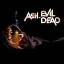 Ash vs Evil Dead on Random TV Shows Canceled Before Their Time