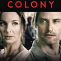Colony on Random Best Current USA Network Shows