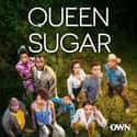 Queen Sugar on Random Best Current OWN Shows