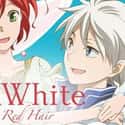 Snow White with the Red Hair on Random Best Romance Anime