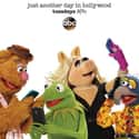The Muppets on Random Best Puppet TV Shows