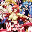 Monster Musume: Everyday Life with Monster Girls on Random  Best Anime Streaming On Hulu