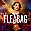 Phoebe Waller-Bridge, Hugh Skinner, Sian Clifford   Fleabag (BBC Three, 2016) is a British comedy series about Fleabag (Phoebe Waller-Bridge), a young woman attempting to navigate modern life in London.