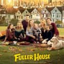 Fuller House on Random Funniest Kids Shows
