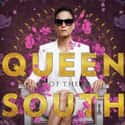 Queen of the South on Random Best Current USA Network Shows