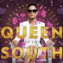 Queen of the South on Random Best Current USA Network Shows
