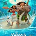 Moana on Random Great Movies About Very Smart Young Girls