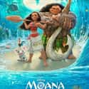 Moana on Random Best Dwayne Johnson Movies