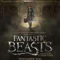 2016   Fantastic Beasts and Where to Find Them is a 2016 fantasy film directed by David Yates, based on the 2001 book by J. K. Rowling.