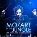Mozart in the Jungle on Random Movies If You Love 'Hart Of Dixie'